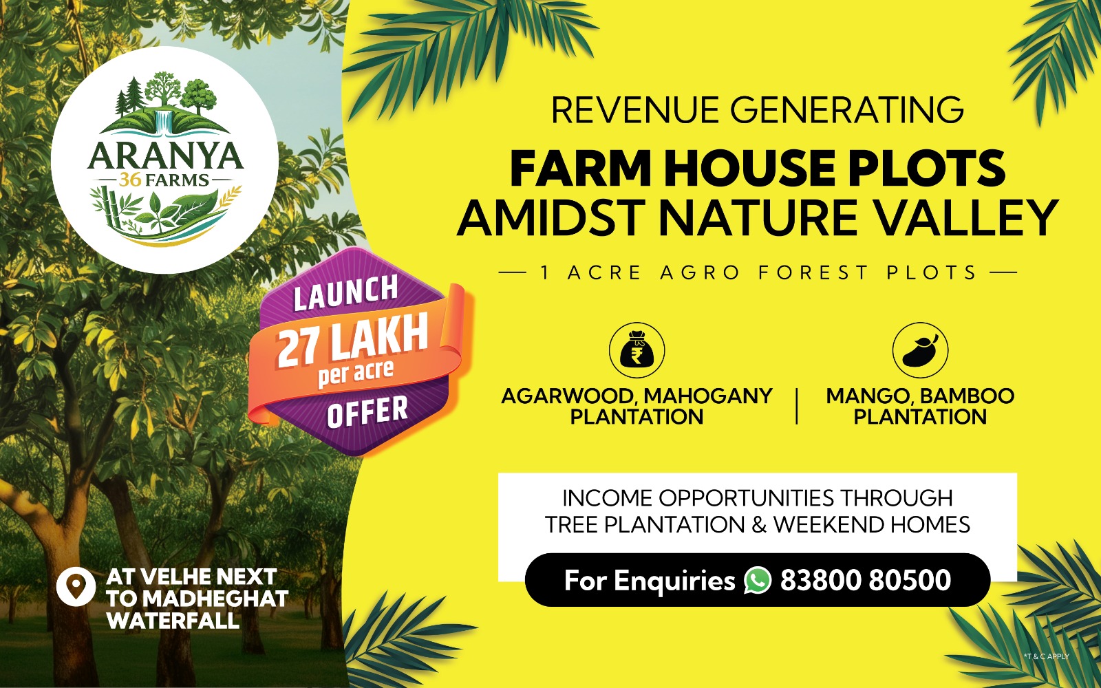 WhatsApp Image 2026-02-23 at 9.27.39 AM